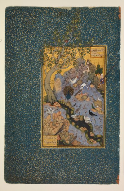 The Conference of the Birds by Habibulla Meshedi